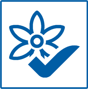 Bild Frühjahrs-Check